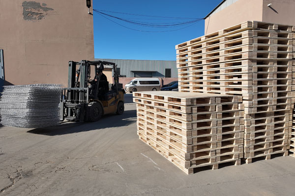 Palletized Finished Goods & Forklift Transfer Area